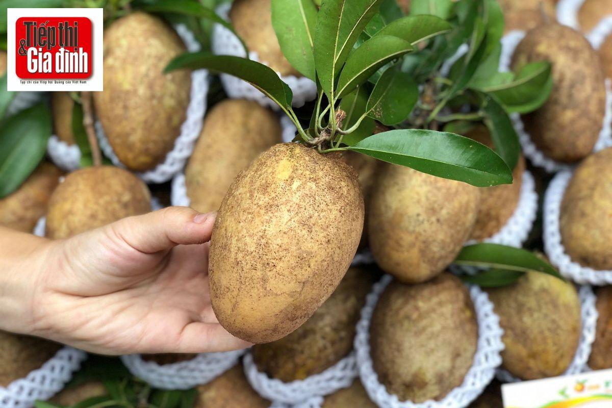 cach-dam-hong-xiem-meo-chon-hong-xiem-ngon