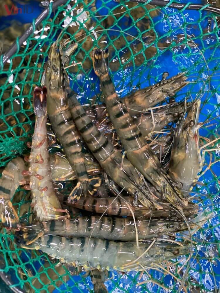 Cách làm tôm hấp bia với công thức đơn giản, 10 phút có ngay món ngon