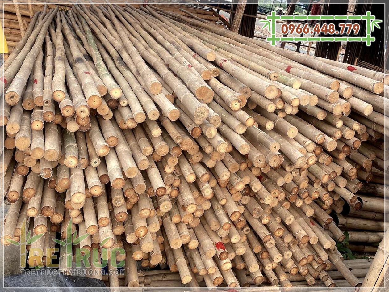 Vựa tầm vông TPHCM