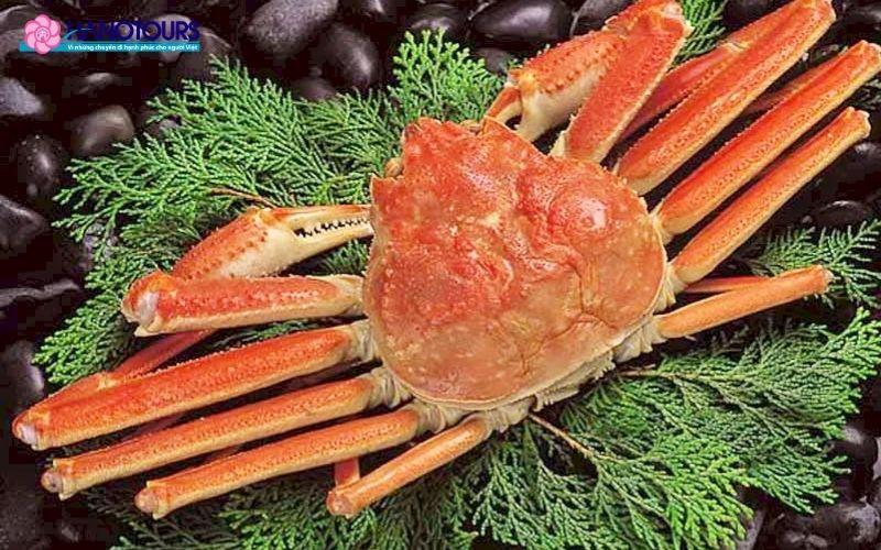 Khám phá thời tiết Hàn Quốc tháng 3 và bí quyết du lịch A-Z