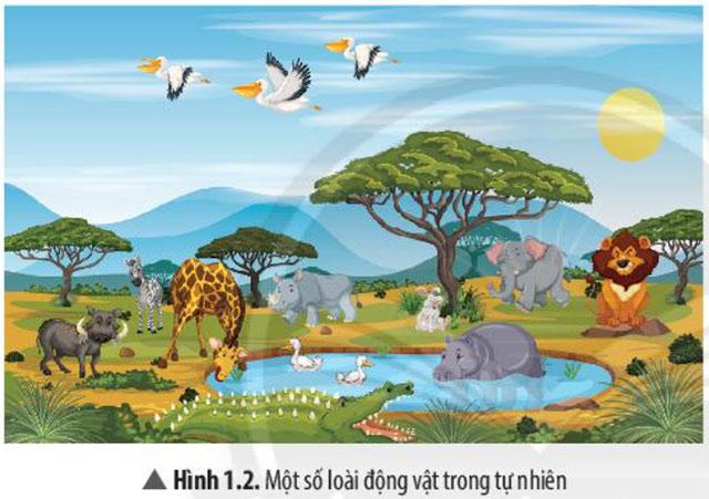 KHTN Lớp 7 Bài 1: Phương pháp và kĩ năng học tập môn Khoa học tự nhiên                               Giải sách Khoa học tự nhiên lớp 7 Chân trời sáng tạo trang 6