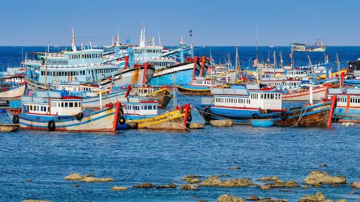 Kỷ niệm 66 năm Ngày Truyền thống Ngành thủy sản: Hành trình phát triển và định hướng tương lai