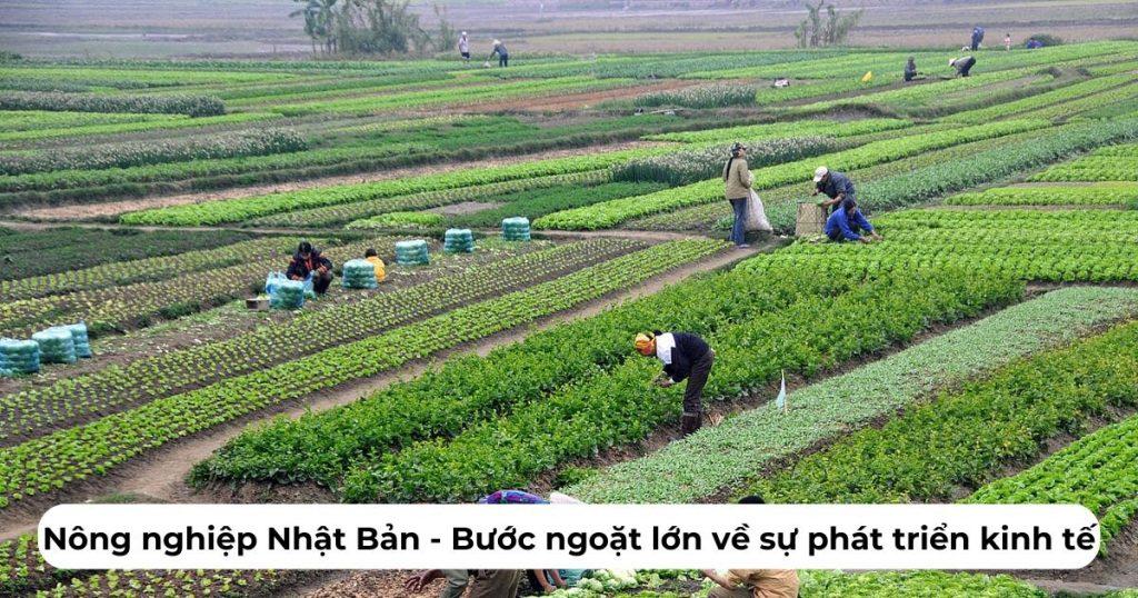 Nông nghiệp Nhật Bản – Bước ngoặt lớn về sự phát triển kinh tế