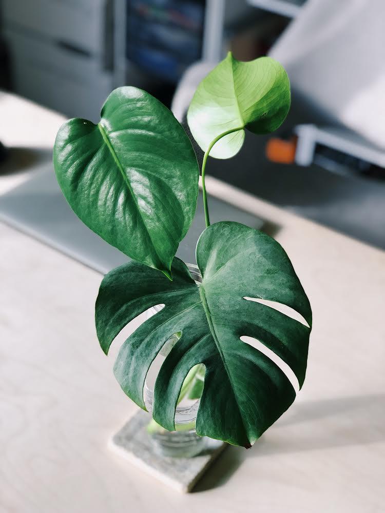 Đôi điều về tình yêu