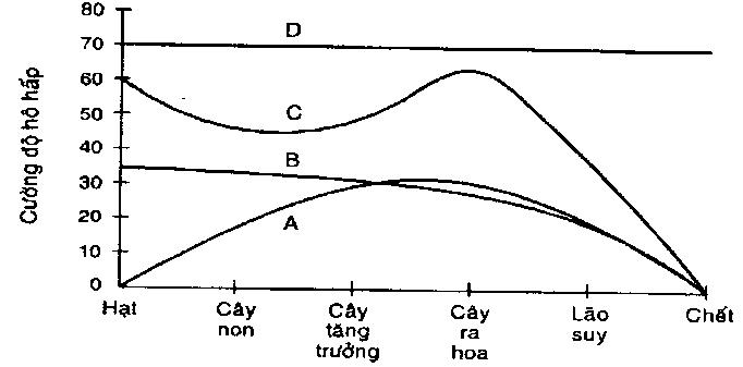 BÀI 6: HÔ HẤP Ở THỰC VẬT - [Trắc nghiệm Sinh 11 - kết nối tri thức và cuộc sống]

Chia sẻ