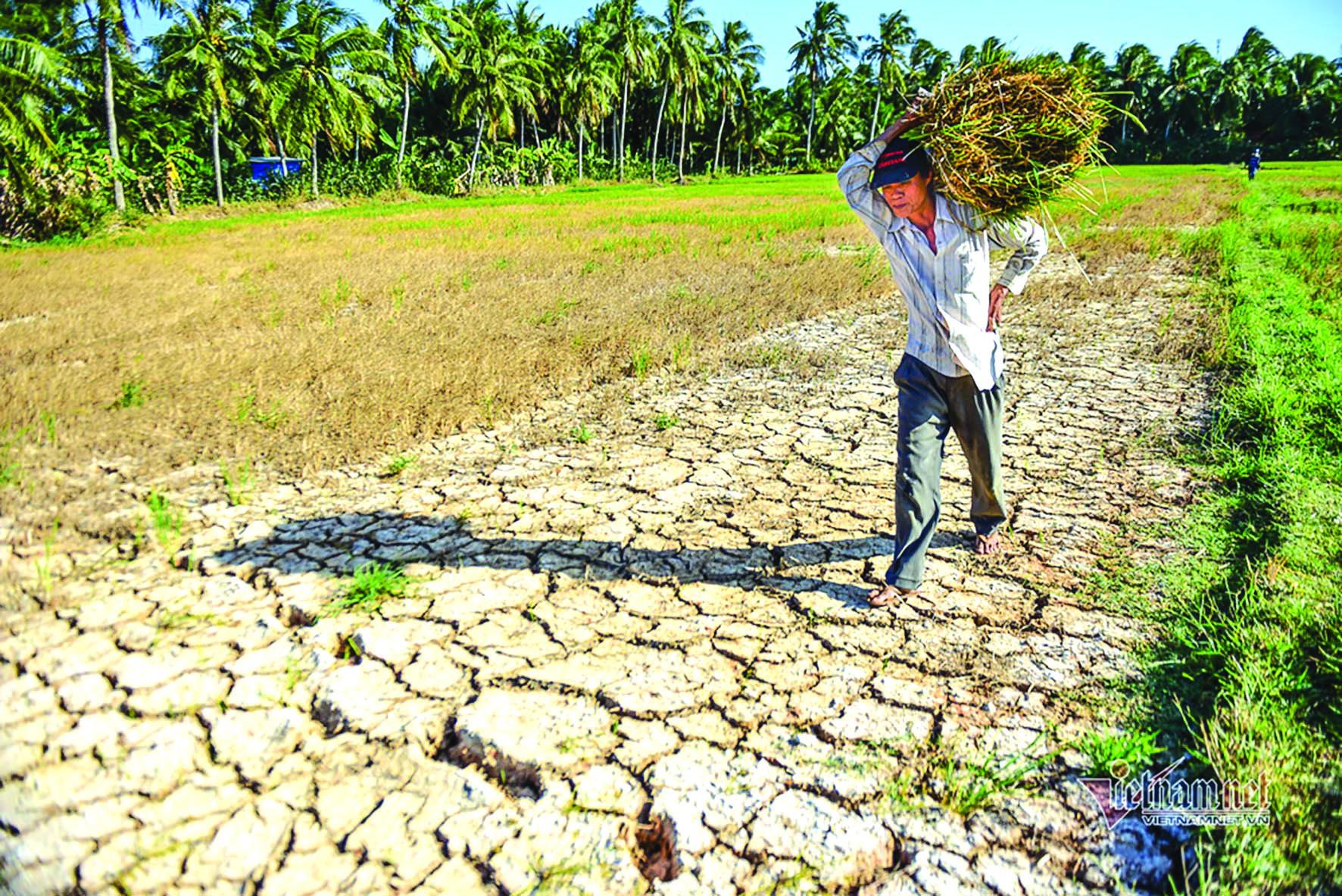 Nông nghiệp Việt Nam: Những vấn đề tồn tại