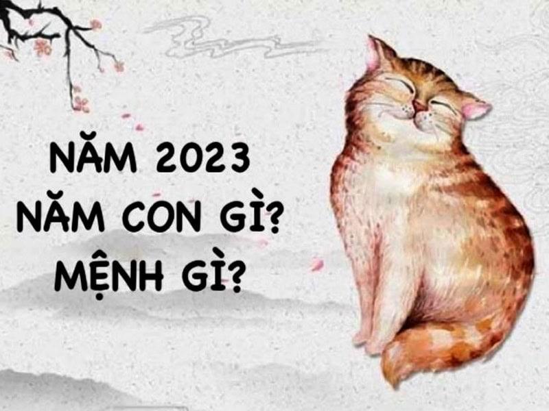 Trẻ sinh năm 2023 mệnh gì? Tính cách, vận mệnh, tử vi trọn đời, phong thủy màu sắc