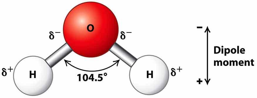 cấu trúc phân tử nước