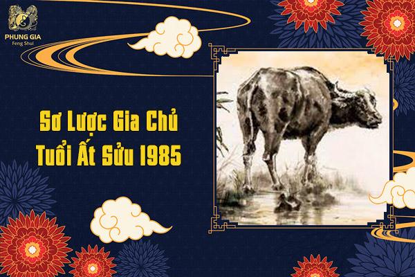 Đầy Đủ Thông Tin Về Hướng Cổng Nhà Tuổi Ất Sửu 1985