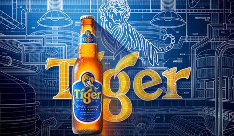 Bia Tiger bao nhiêu 1 thùng? Nồng độ bia Tiger phù hợp cho những ai sử dụng?