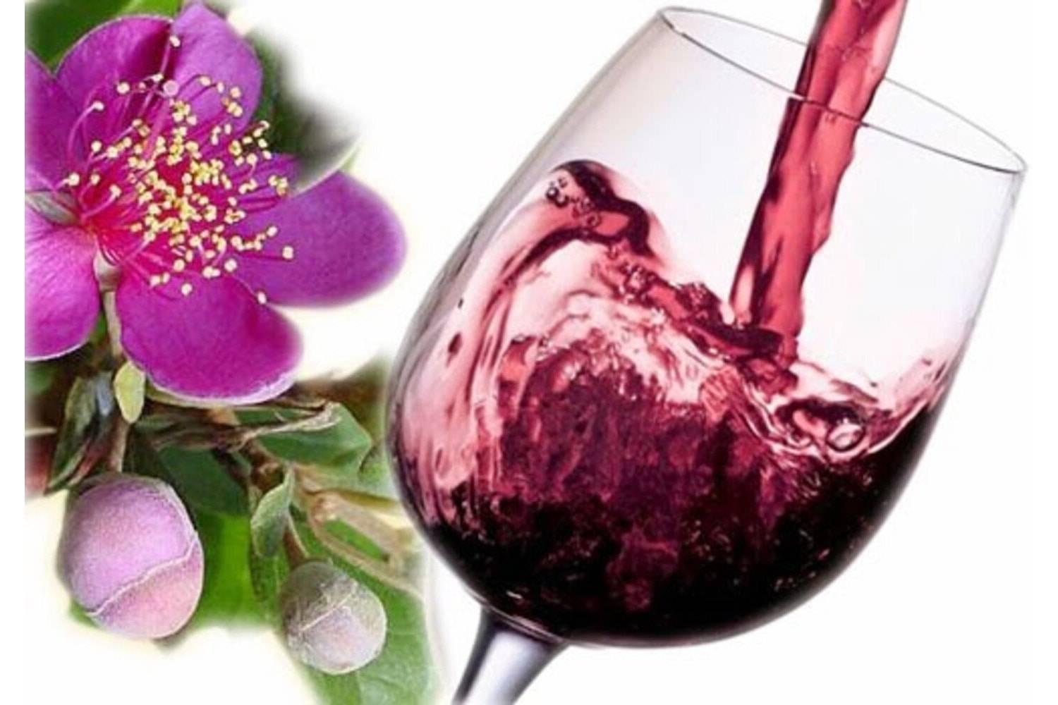 Rượu sim Quảng Bình: Thức uống giá trị từ thiên nhiên