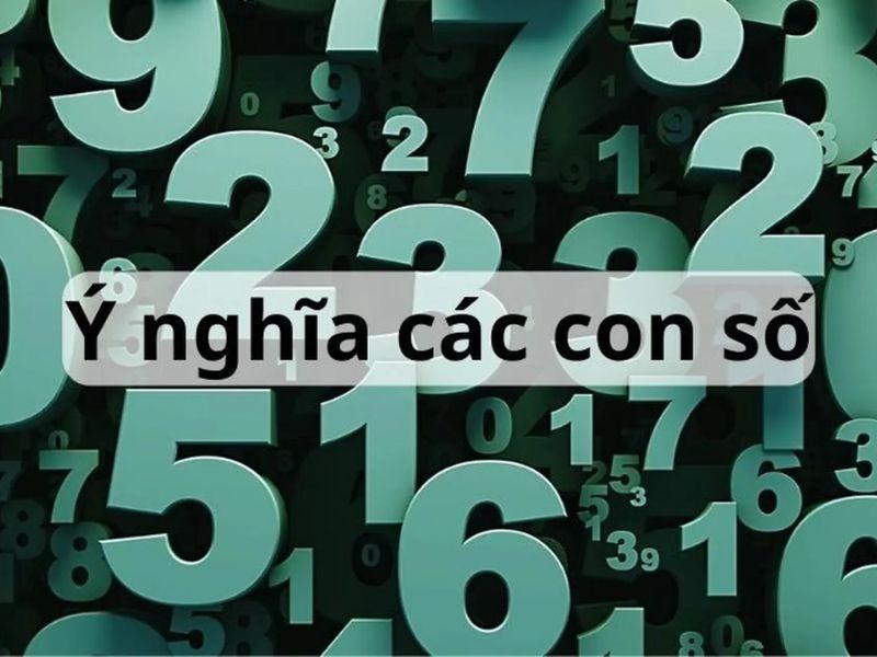 Con Số May Mắn Mùa Thi 2025: Giải Mã Niềm Tin Của Sĩ Tử