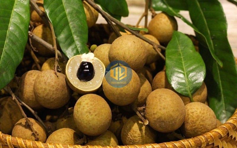 Cách bảo quản nhãn tươi lâu ở ngoài để bán