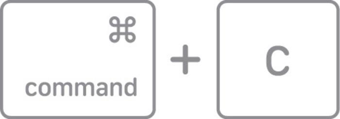 Hướng dẫn copy link trên MacBook siêu dễ chỉ trong 1 nốt nhạc