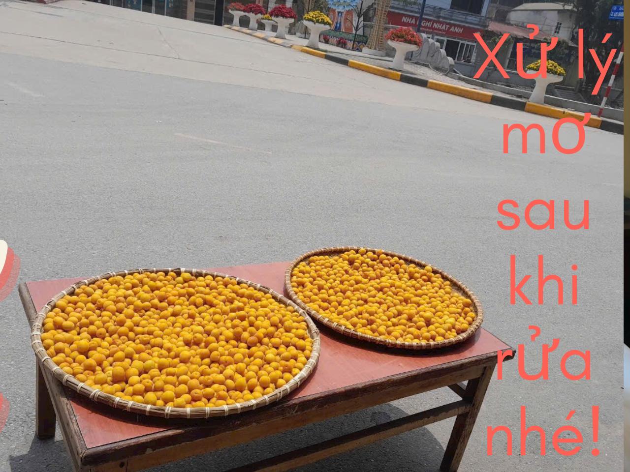 Cách ngâm mơ đường phèn đơn giản mà ngon!