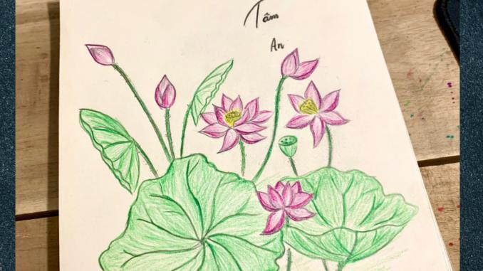 Vẽ hoa sen đơn giản bằng bút chì đẹp