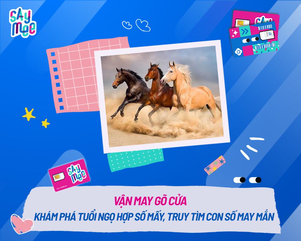 Vận may gõ cửa, khám phá tuổi Ngọ hợp số mấy, truy tìm con số may mắn