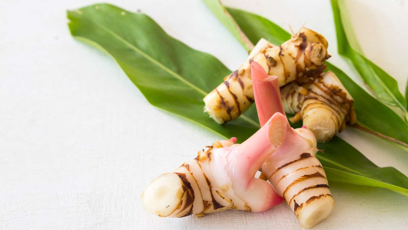 Cách bảo quản củ riềng: Lưu ý để giữ nguyên chất lượng và hương vị