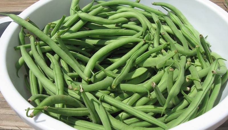 Đậu que bao nhiêu calo? Lưu ý khi giảm cân bằng đậu que