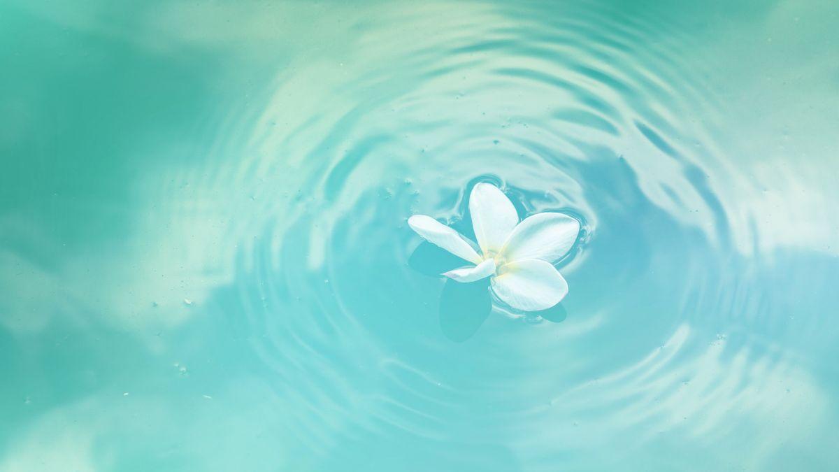 120+ hình nền thu hút tài lộc mệnh Thủy phát tài, phát lộc