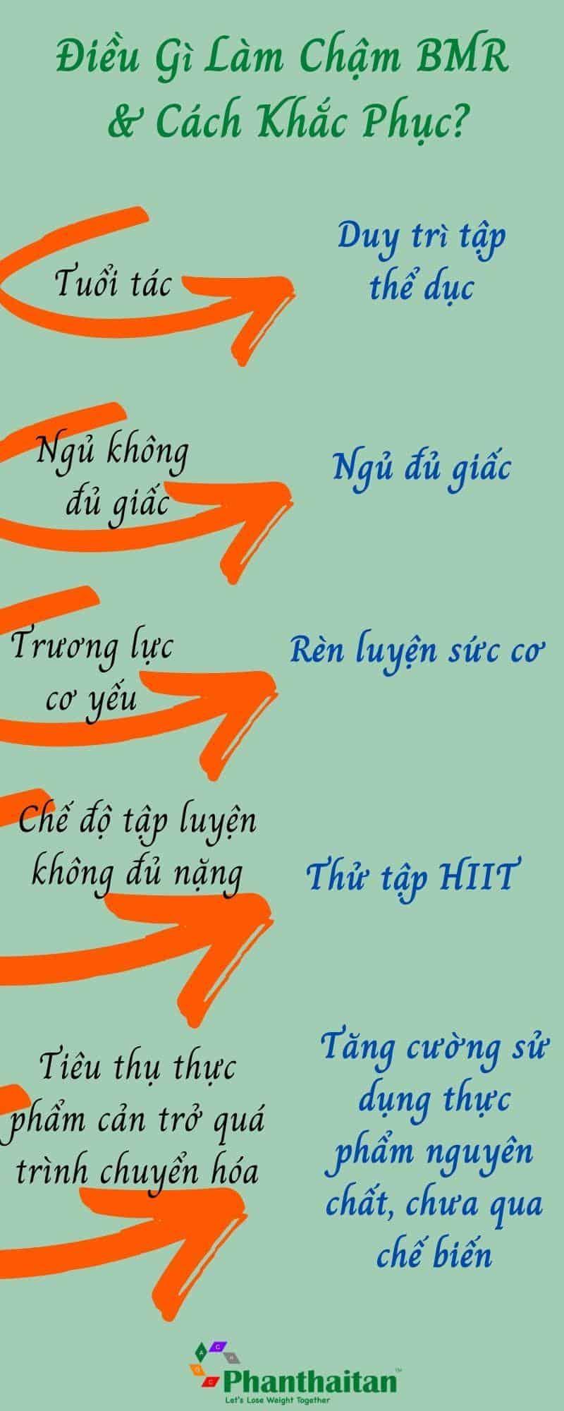 BMR (Tỉ Lệ Chuyển Hoá Cơ Bản): Phải Hiểu Để Giảm Cân Bớt Khổ!