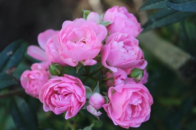 Đàn ông càng không sẵn sàng chi tiền cho bạn thì càng phải cảnh giác