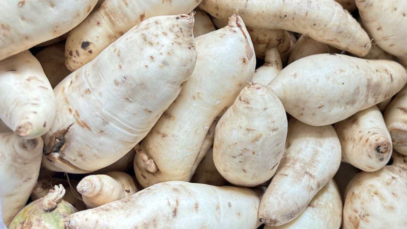 Khoai lang trắng​ mang lại lợi ích gì cho sức khỏe?