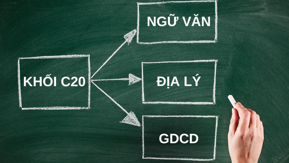 Khối C20 gồm những ngành nào? Ngành nào triển vọng nhất?