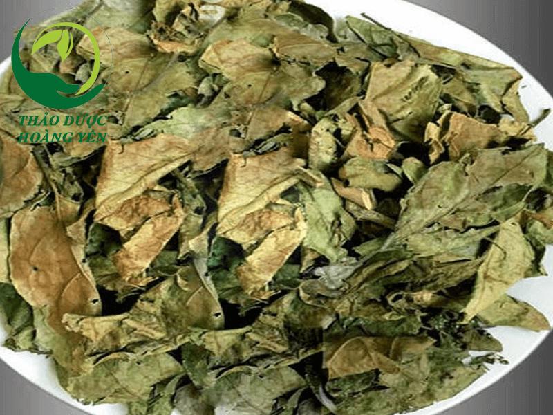lá quế khô 1kg