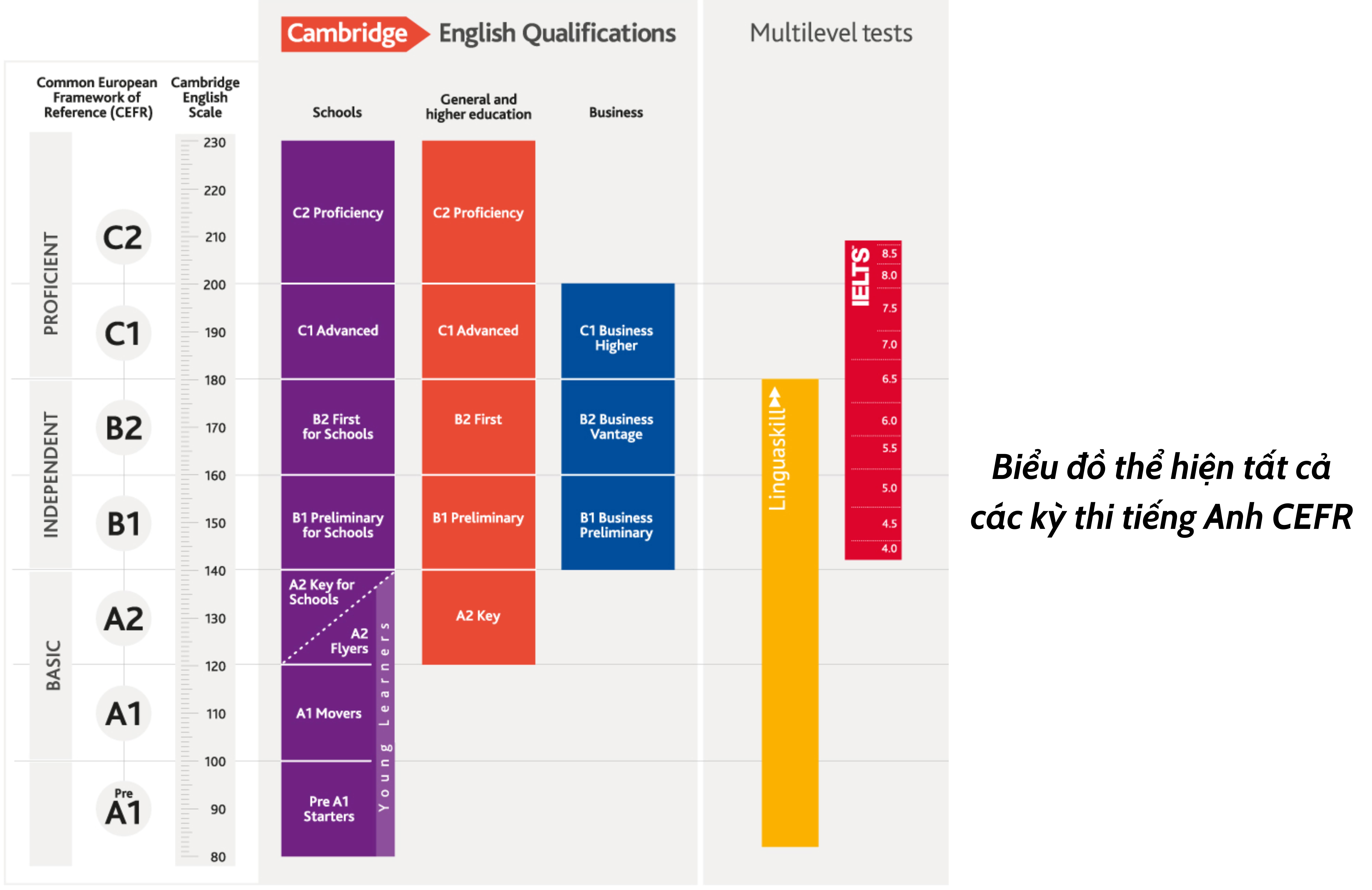 Đo trình độ tiếng Anh thương mại theo 6 level của CEFR