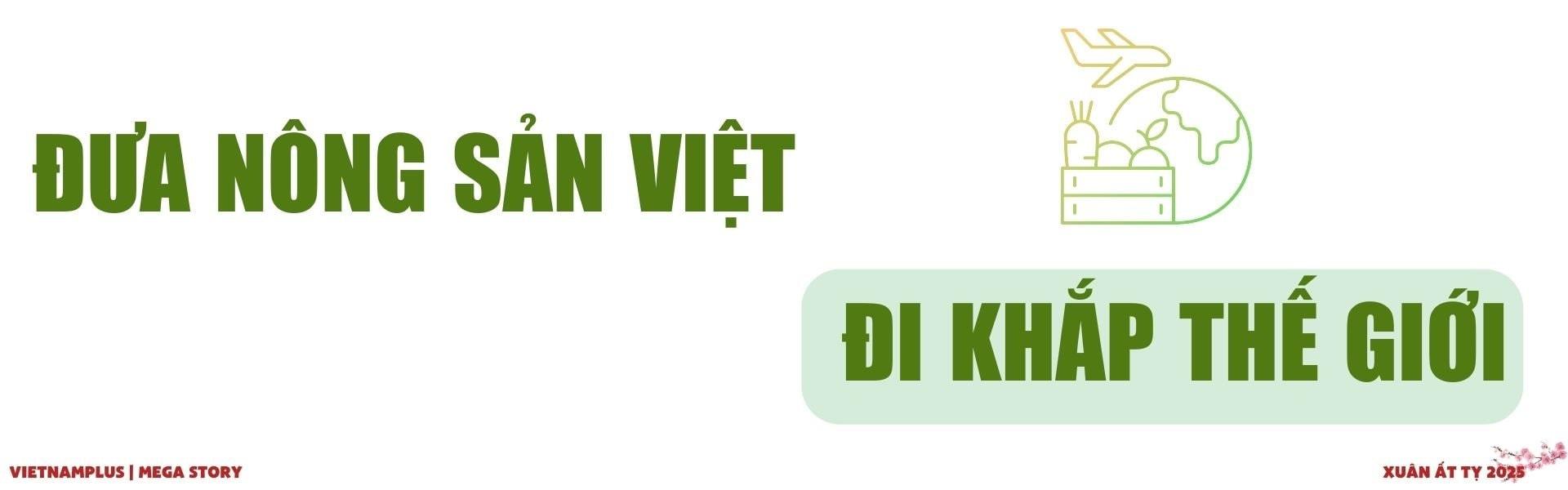 Xuất khẩu nông lâm thủy sản năm 2025: Sẽ viết tiếp kỳ tích mới?