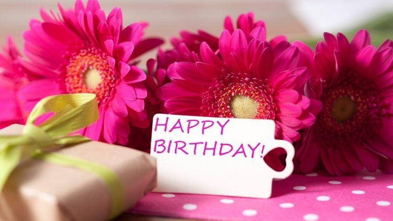 Lời chúc sinh nhật thầy cô giáo ngắn gọn, hay nhất