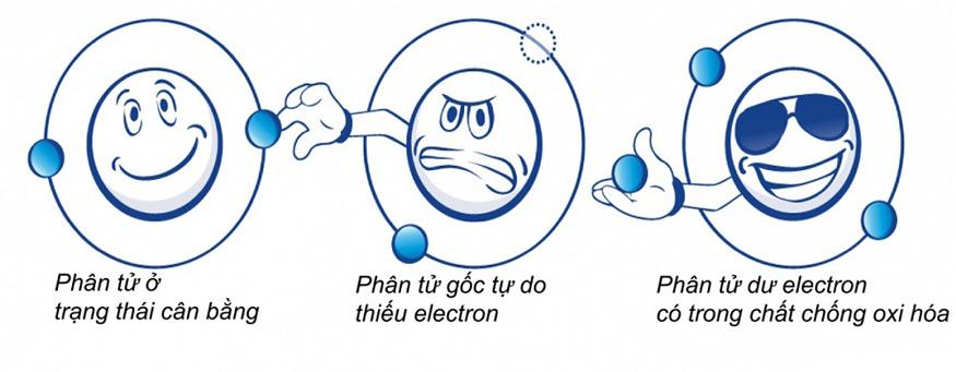 Oxi hóa là gì? Tác hại, biện pháp chống oxi hóa với cơ thể