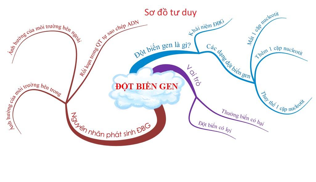 Sinh học 12 Bài 4: Đột biến gen