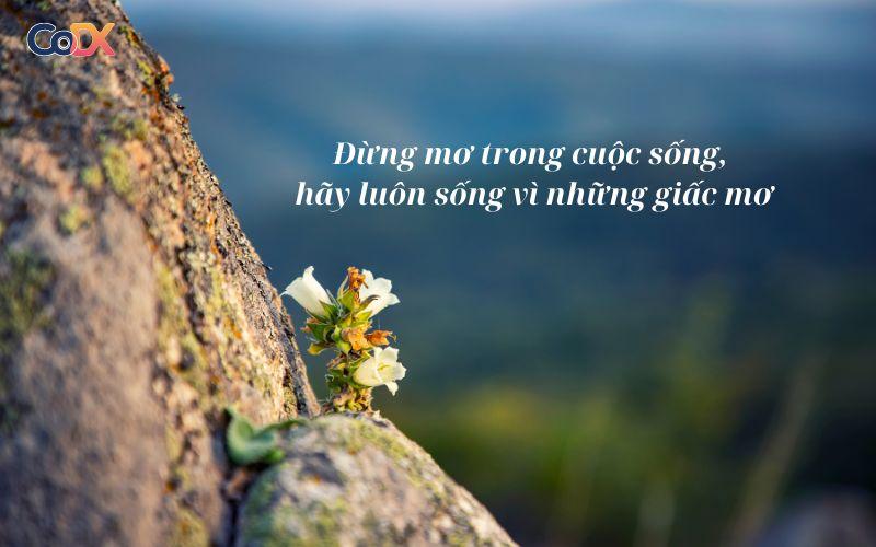 Những cap, stt, cap câu nói truyền năng lượng tích cực hay, ngắn gọn