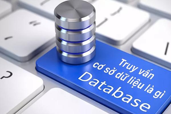 Tin tức & Sự kiện