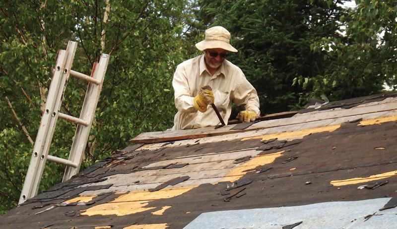 My Experience Repurposing An Old Chicken Coop